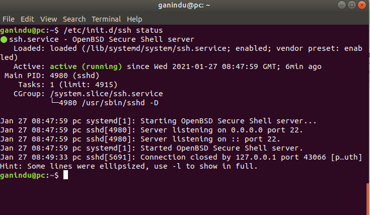 SSH server running